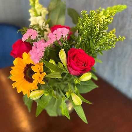 De Tien Wilgen * Oosterblokker